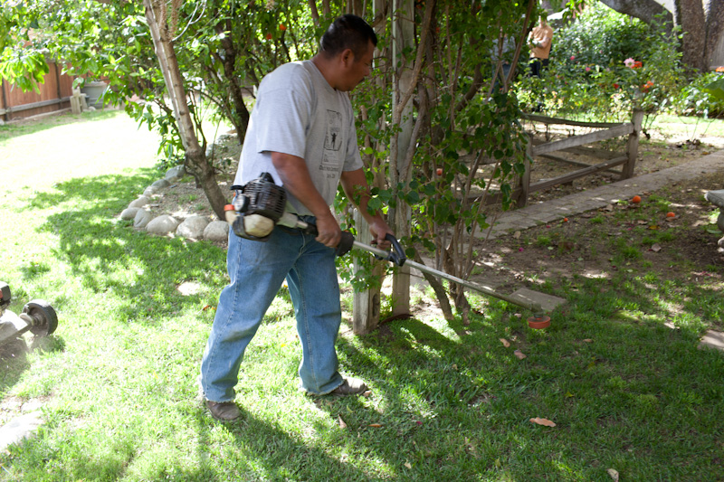 Worker Edging/Cutting Weed with a Weed Whacker