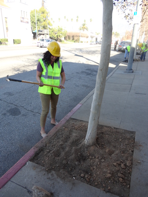 NDLON staff participating in community clean up