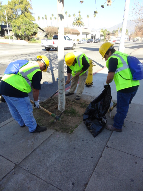 Pasadena Job Center workers beautifying the local streets
