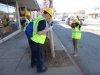 Pasadena Job Center workers beautifying the local streets